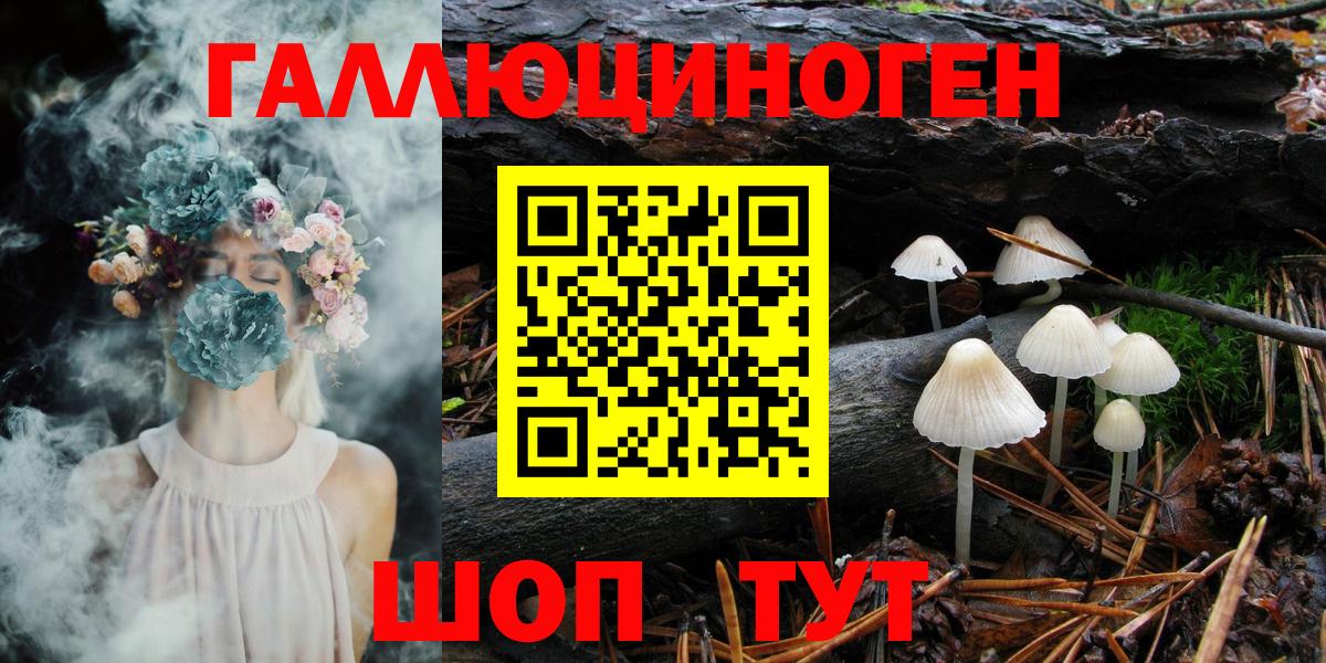 Галлюциногенные грибы Cubensis  Псилоцибиновые грибы Cubensis  что такое   Чусовой  Вход с VPN 